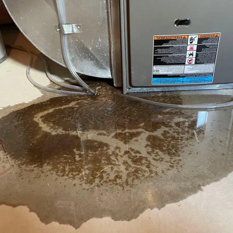 Pipe Burst and Leak Restoration in Middlesex, NJ